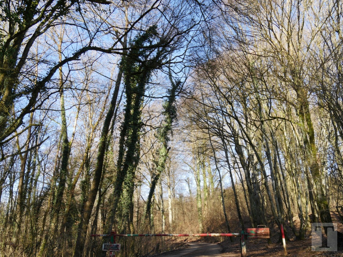 Promenade_février2019_Niederkorn_Oberkorn_Lasauvage_FonddeGras_59