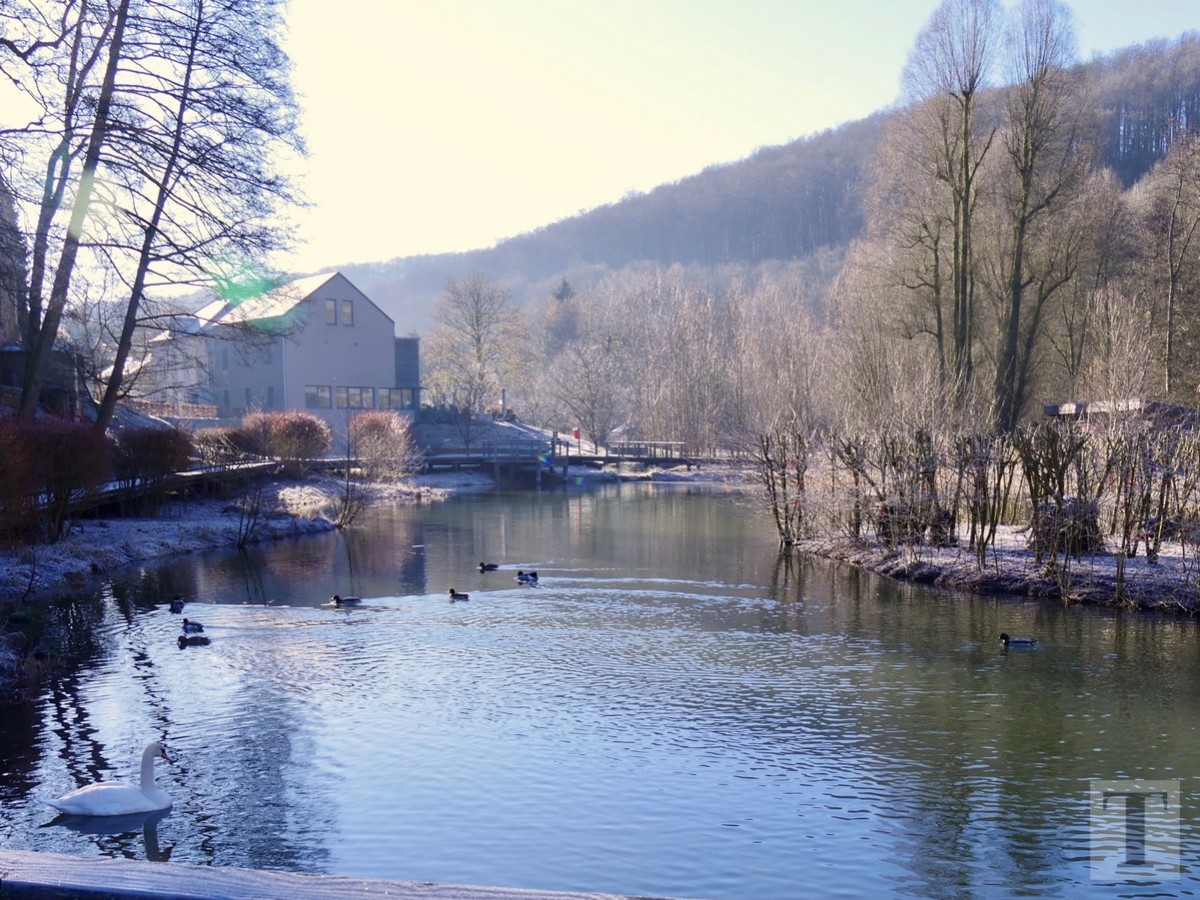 Promenade_février2019_Niederkorn_Oberkorn_Lasauvage_FonddeGras_6