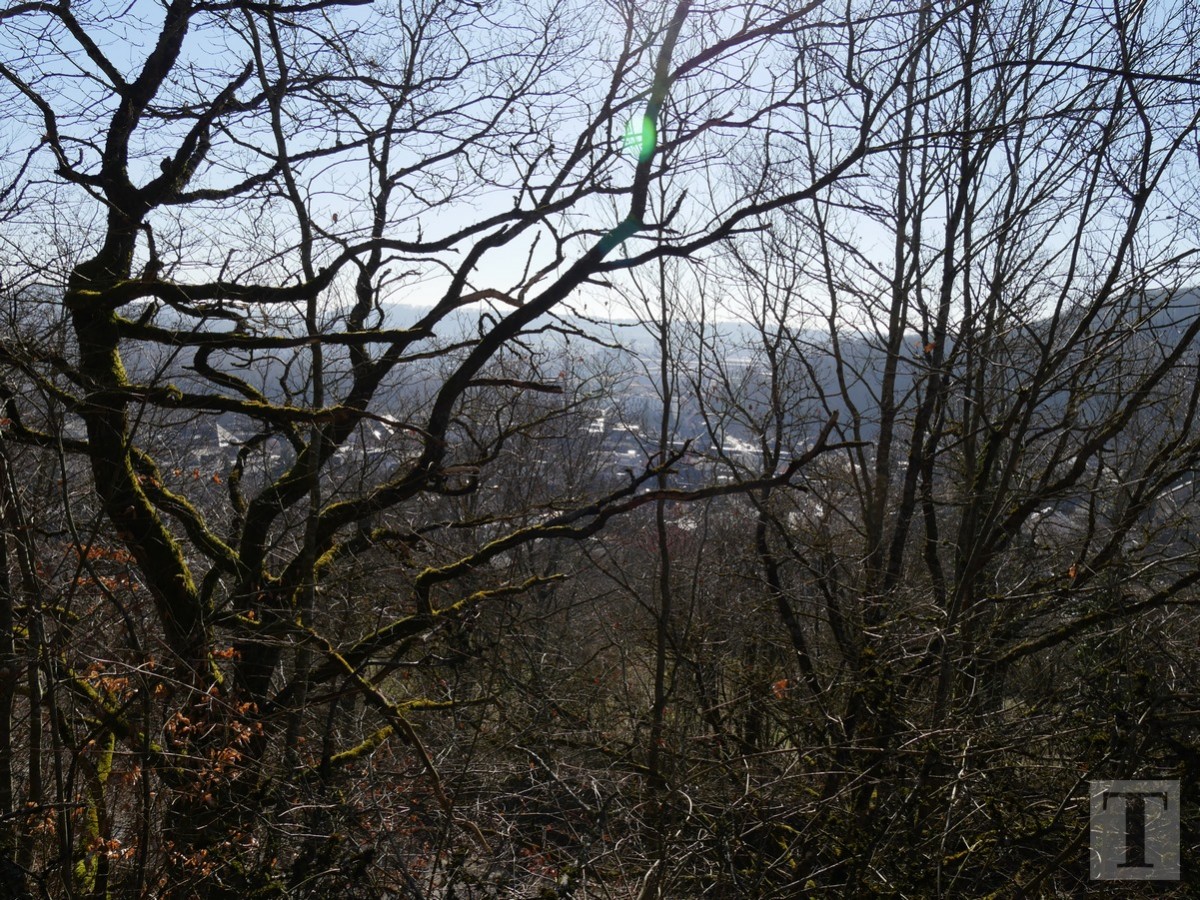 Promenade_février2019_Niederkorn_Oberkorn_Lasauvage_FonddeGras_60