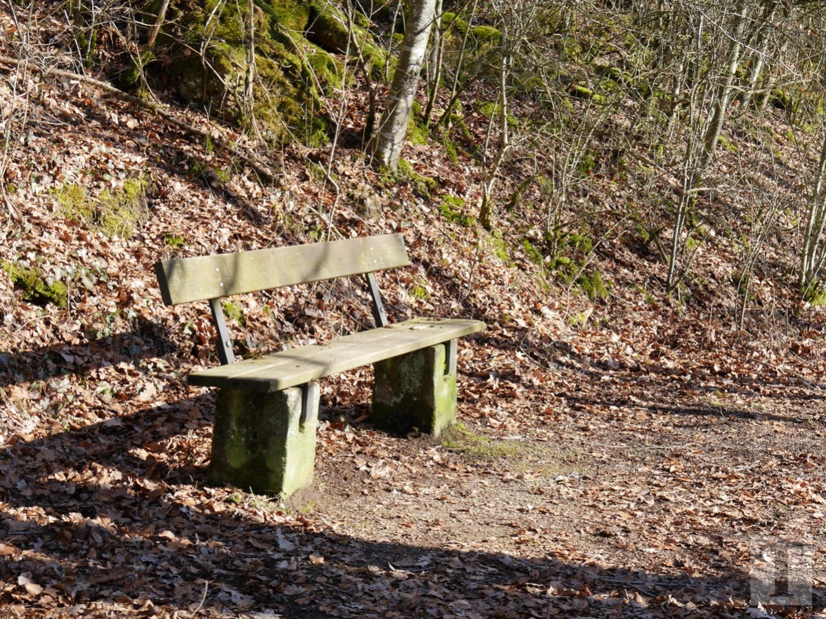 Promenade_février2019_Niederkorn_Oberkorn_Lasauvage_FonddeGras_61