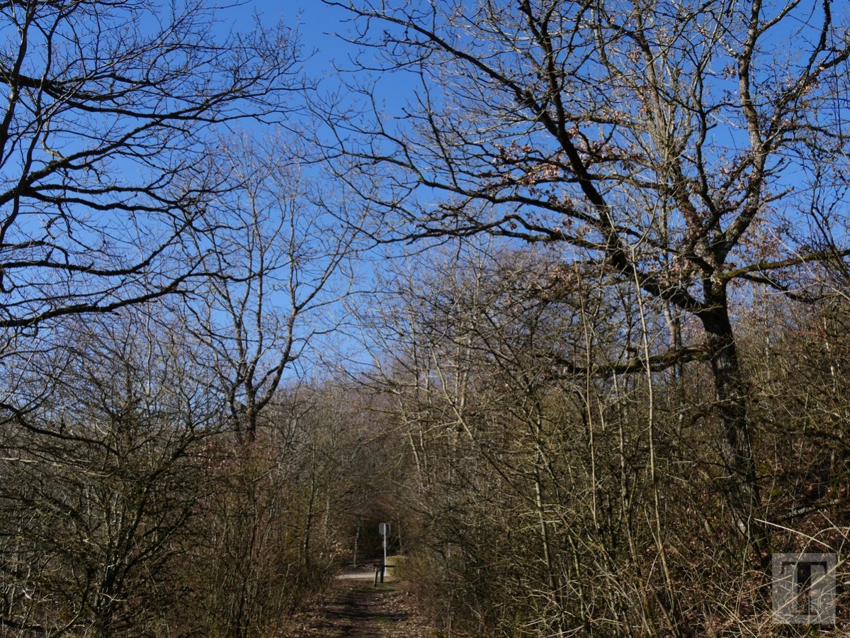 Promenade_février2019_Niederkorn_Oberkorn_Lasauvage_FonddeGras_62