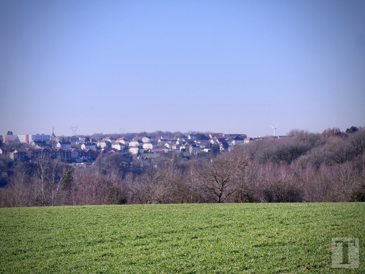 Promenade_février2019_Niederkorn_Oberkorn_Lasauvage_FonddeGras_63