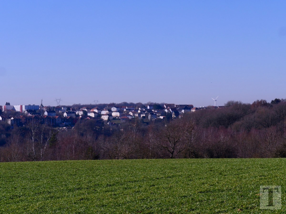 Promenade_février2019_Niederkorn_Oberkorn_Lasauvage_FonddeGras_64