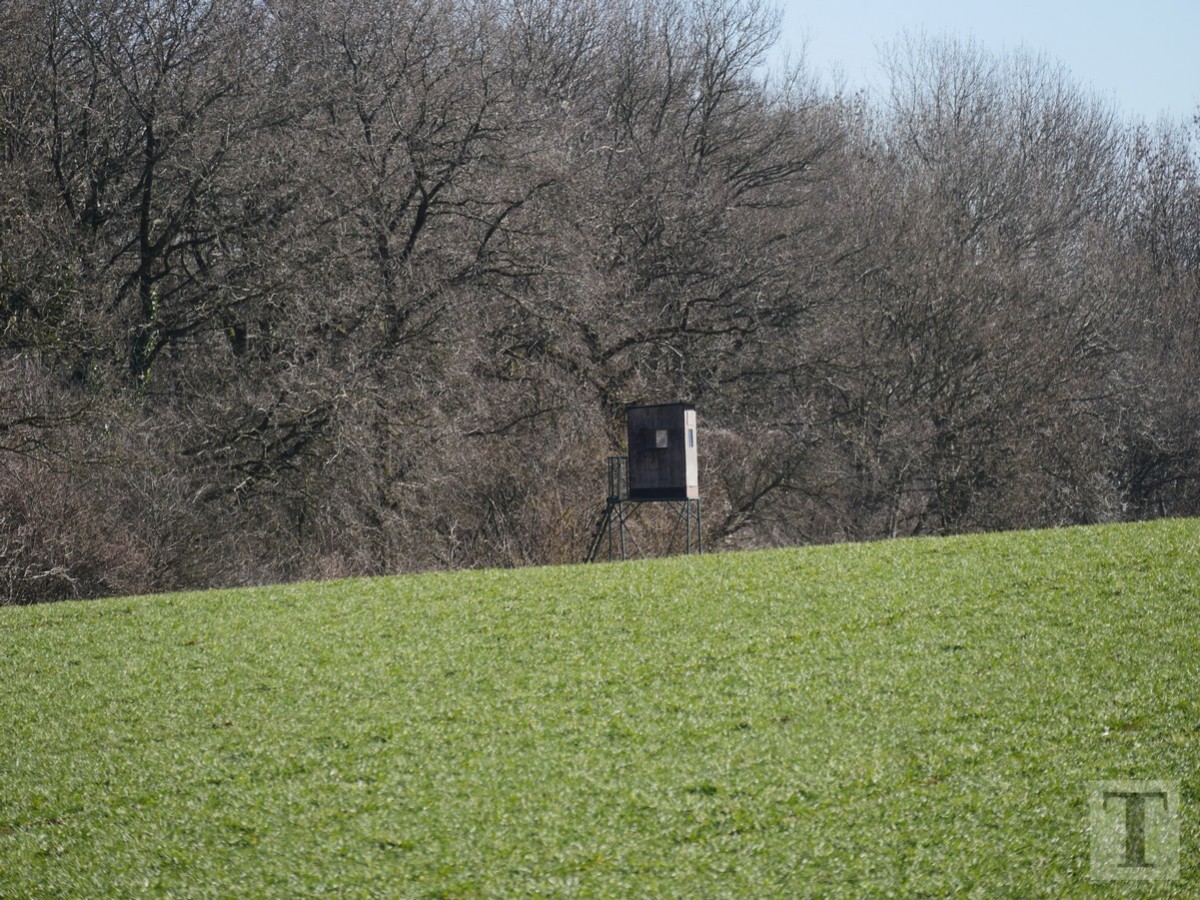 Promenade_février2019_Niederkorn_Oberkorn_Lasauvage_FonddeGras_65