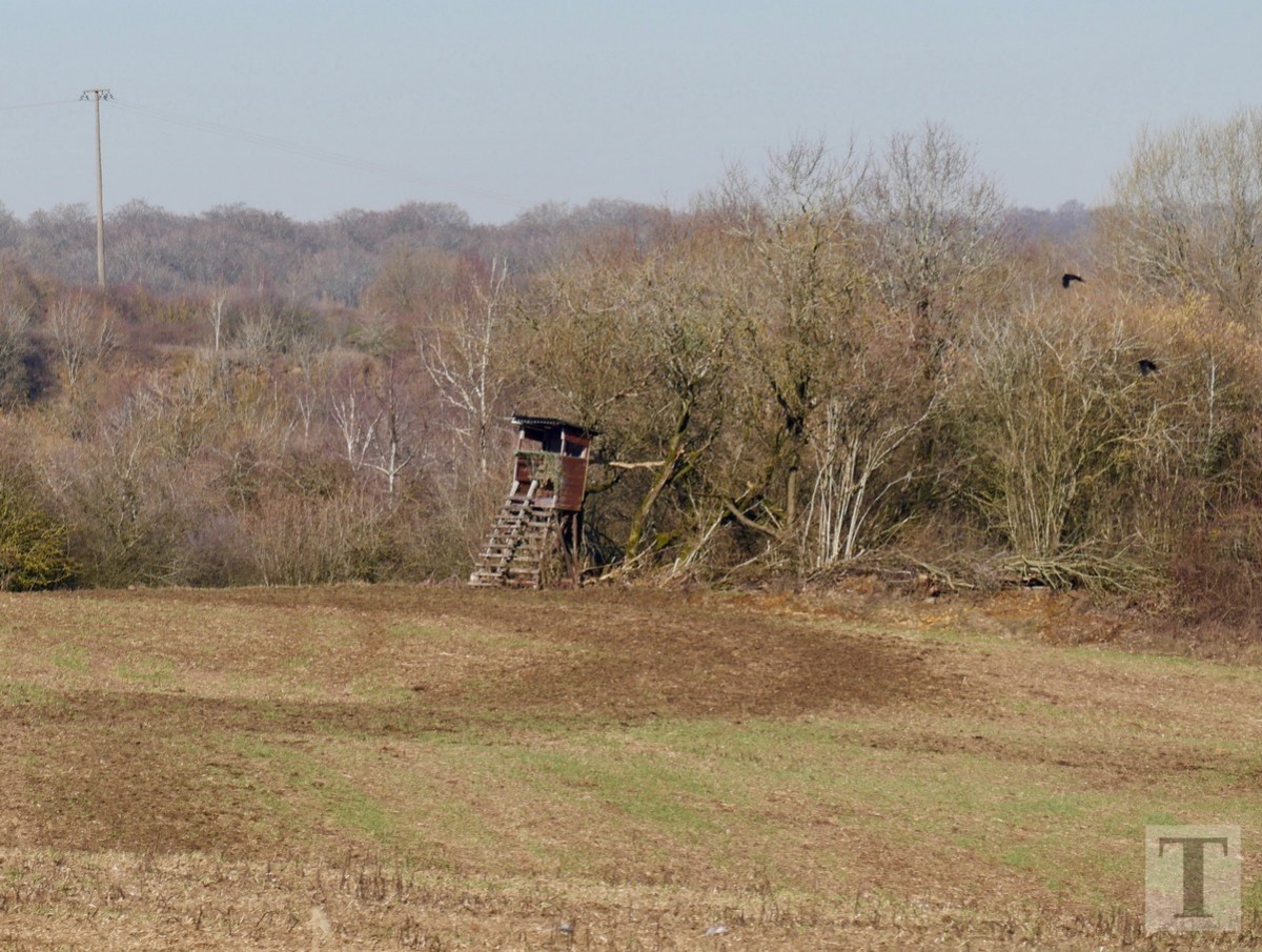 Promenade_février2019_Niederkorn_Oberkorn_Lasauvage_FonddeGras_66