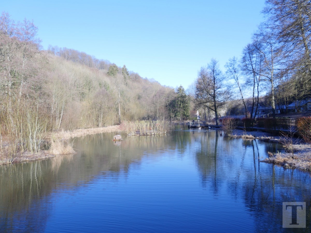 Promenade_février2019_Niederkorn_Oberkorn_Lasauvage_FonddeGras_9