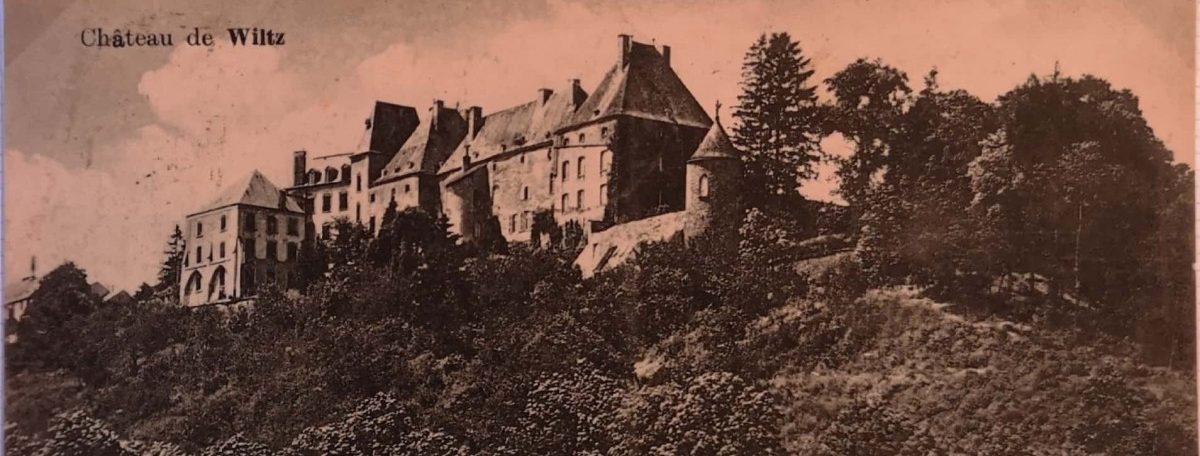 Schloss, Altenheim, Zahnarztschule – Die Burg von Oberwiltz