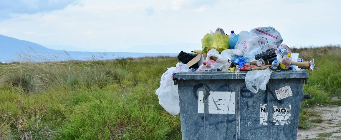 Goldener Müll – Wieso die Abfallwirtschaft überdacht werden sollte