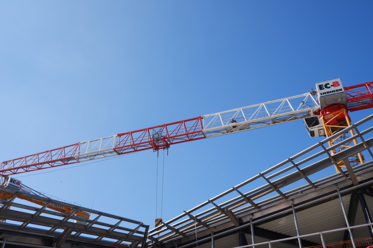 29.03.2019_Editpress_463064