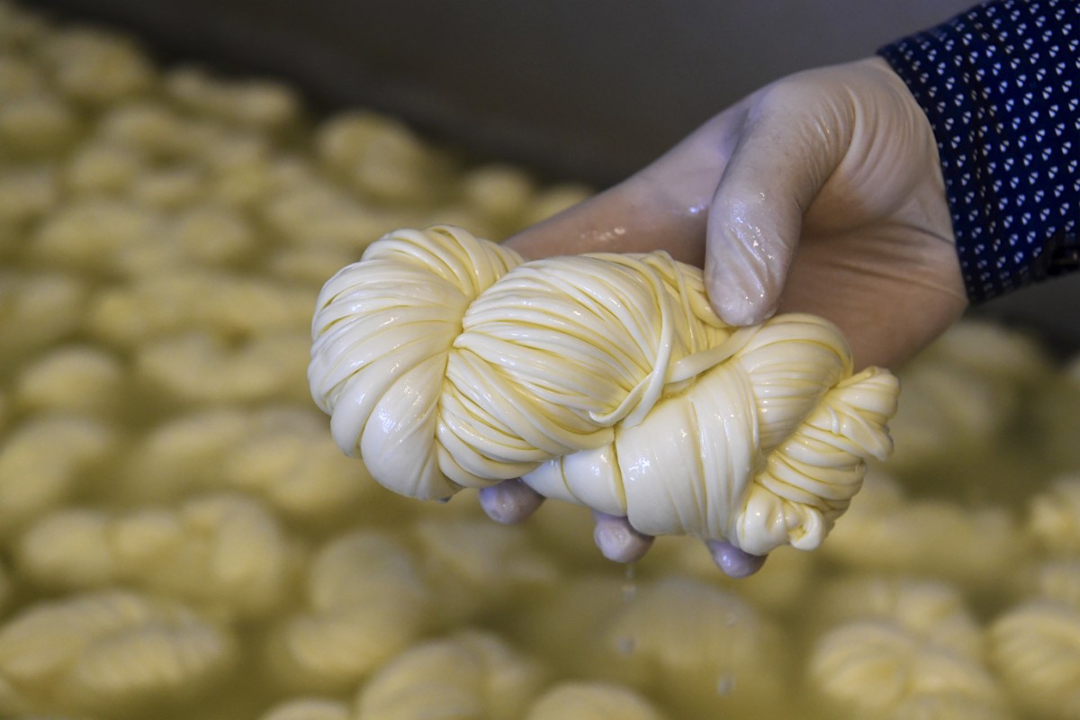 490_0008_15077028_26_02_2019_Editpress_457888