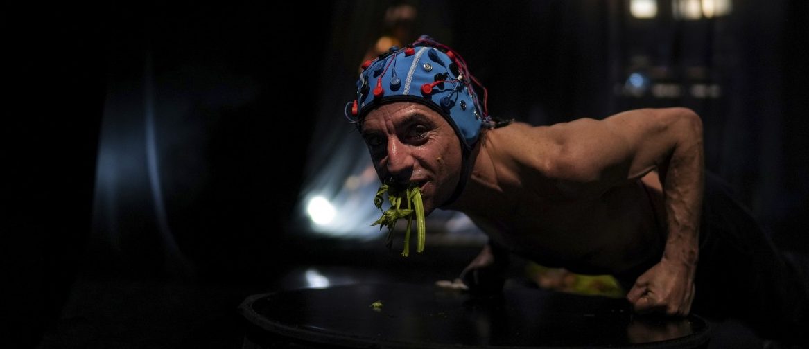 „La vie est une loterie macabre“ –  „Vanitas. Live fast, never digest“, une mise en scène pluridisciplinaire