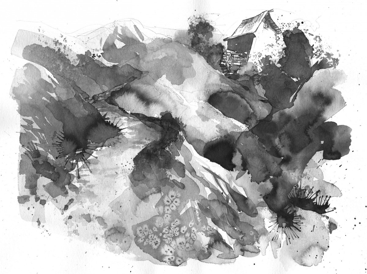 490_0008_15078284_jas3