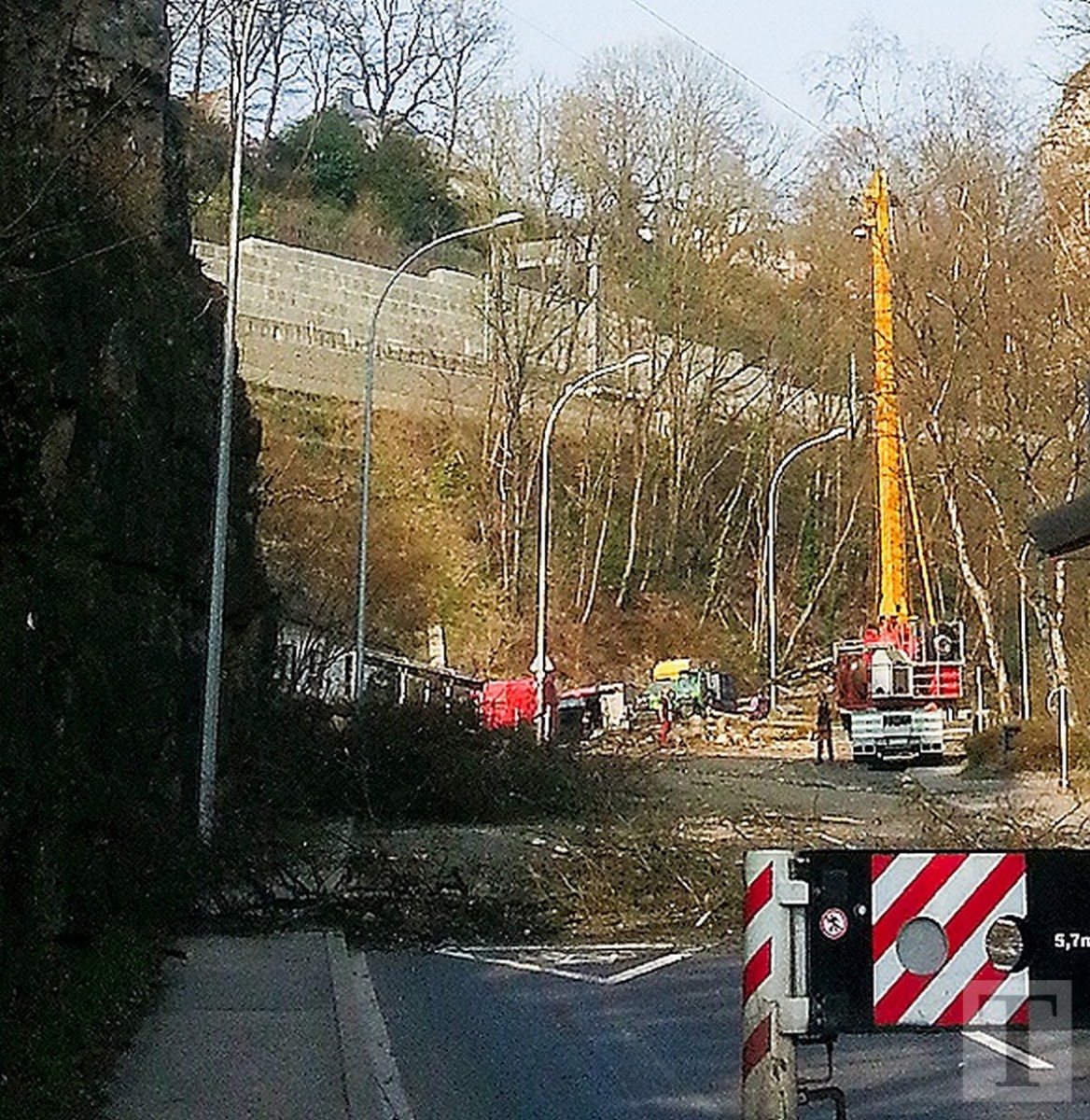 Baumfällaktion Pulvermühle4