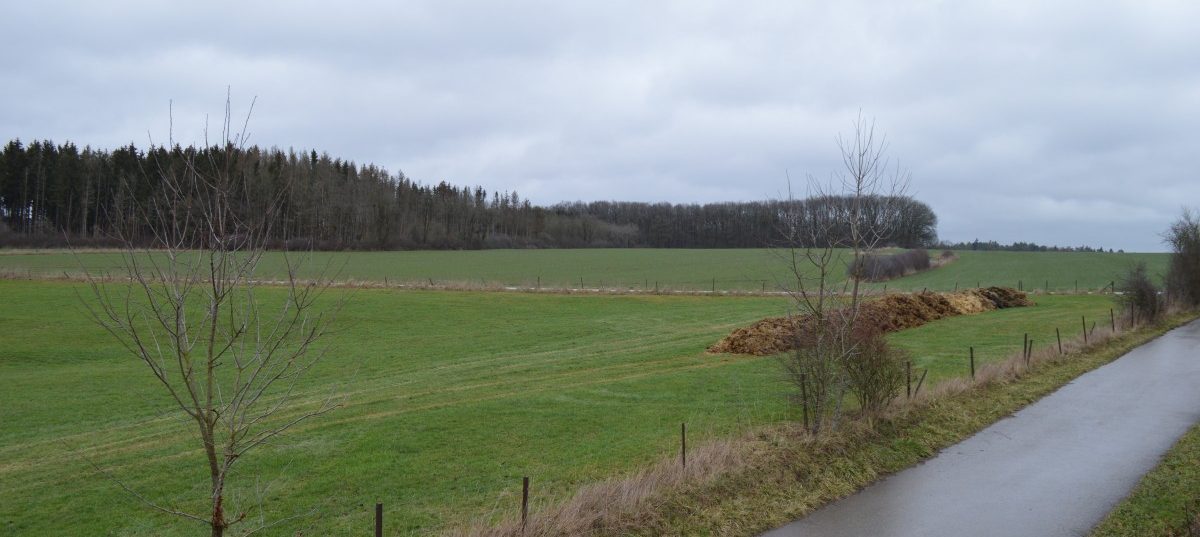 Google-Datenzentrum in Bissen: Parlament muss auf Antworten warten