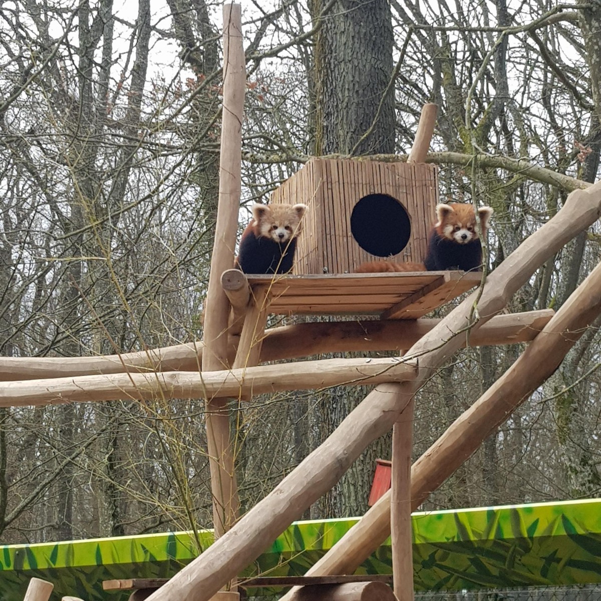 Parc Merveilleux Bettemburg-40