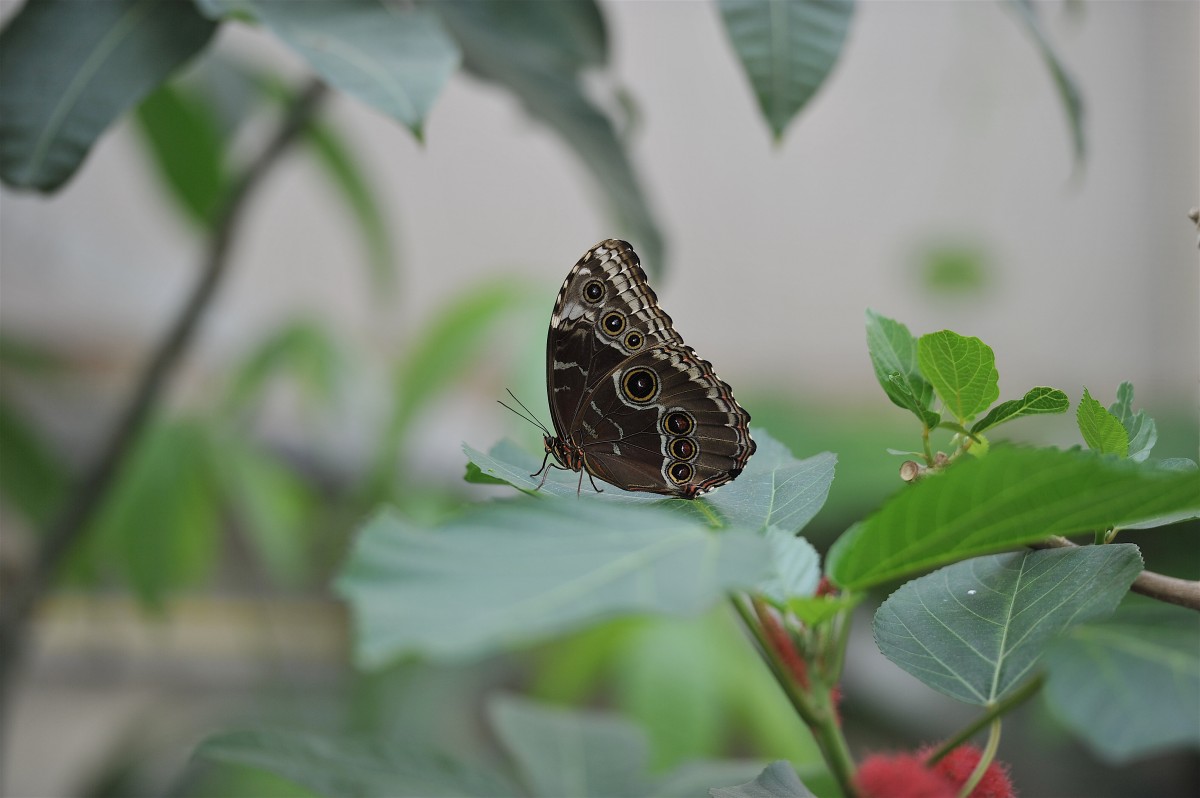 01.04.2019_Editpress_463519