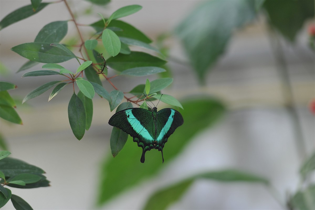 01.04.2019_Editpress_463520