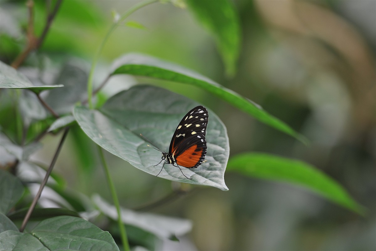 01.04.2019_Editpress_463522