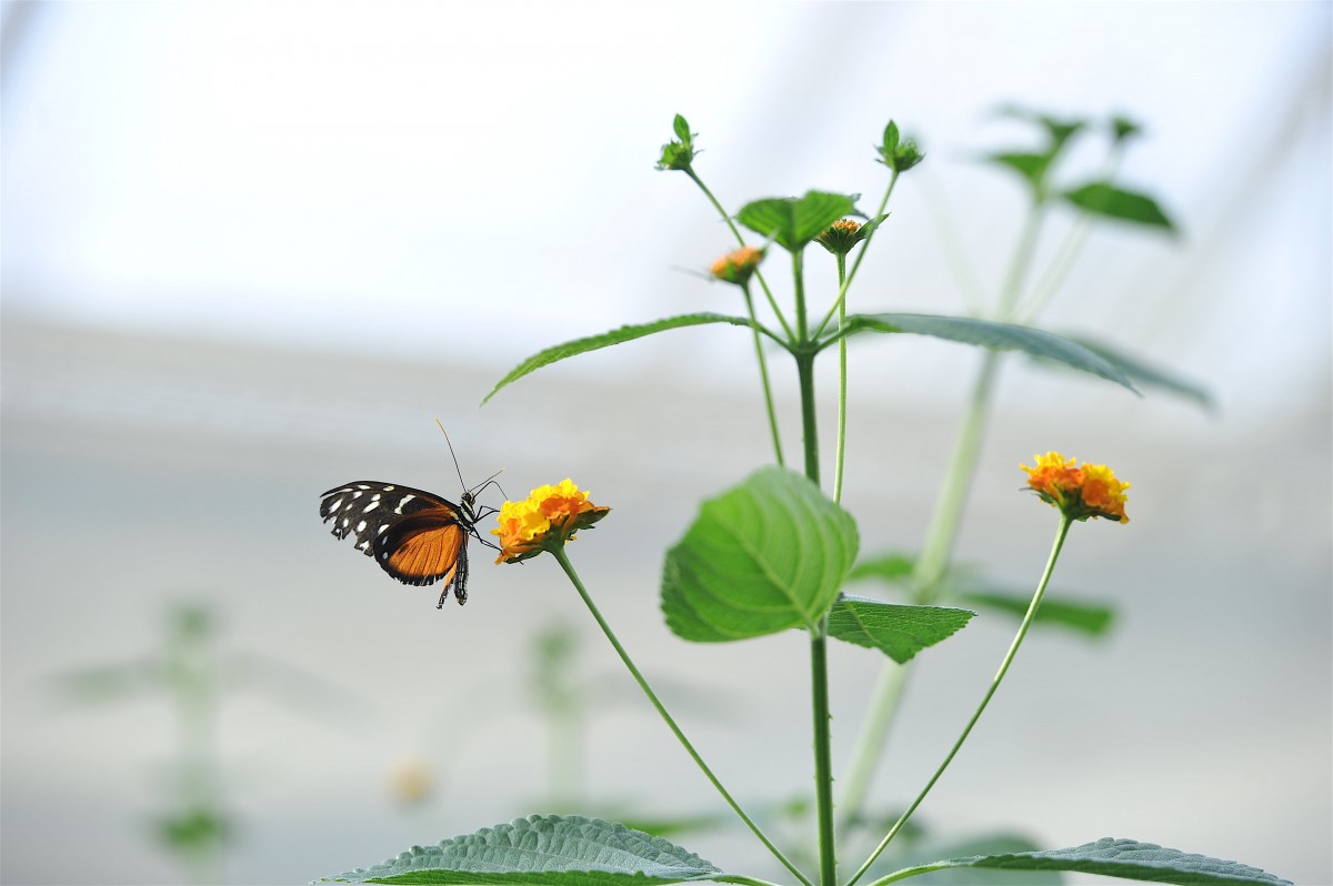 01.04.2019_Editpress_463524