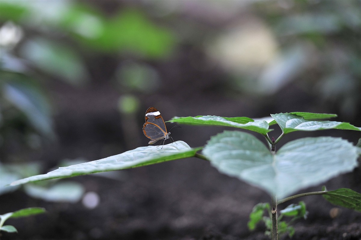 01.04.2019_Editpress_463525