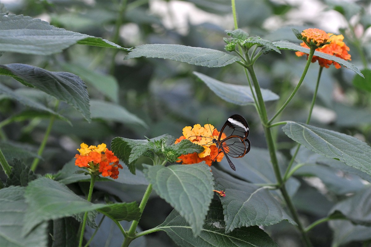 01.04.2019_Editpress_463531