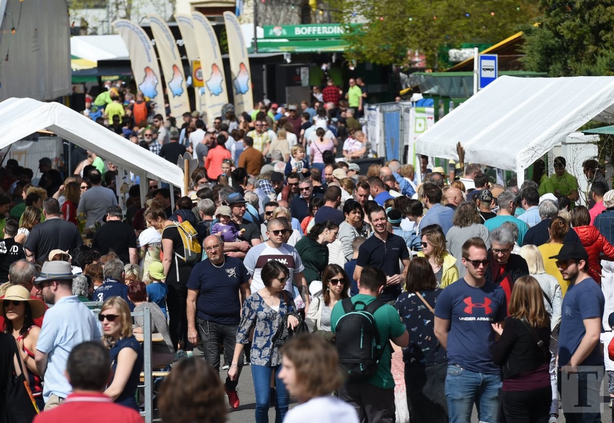 22.04.2019_Editpress_466688