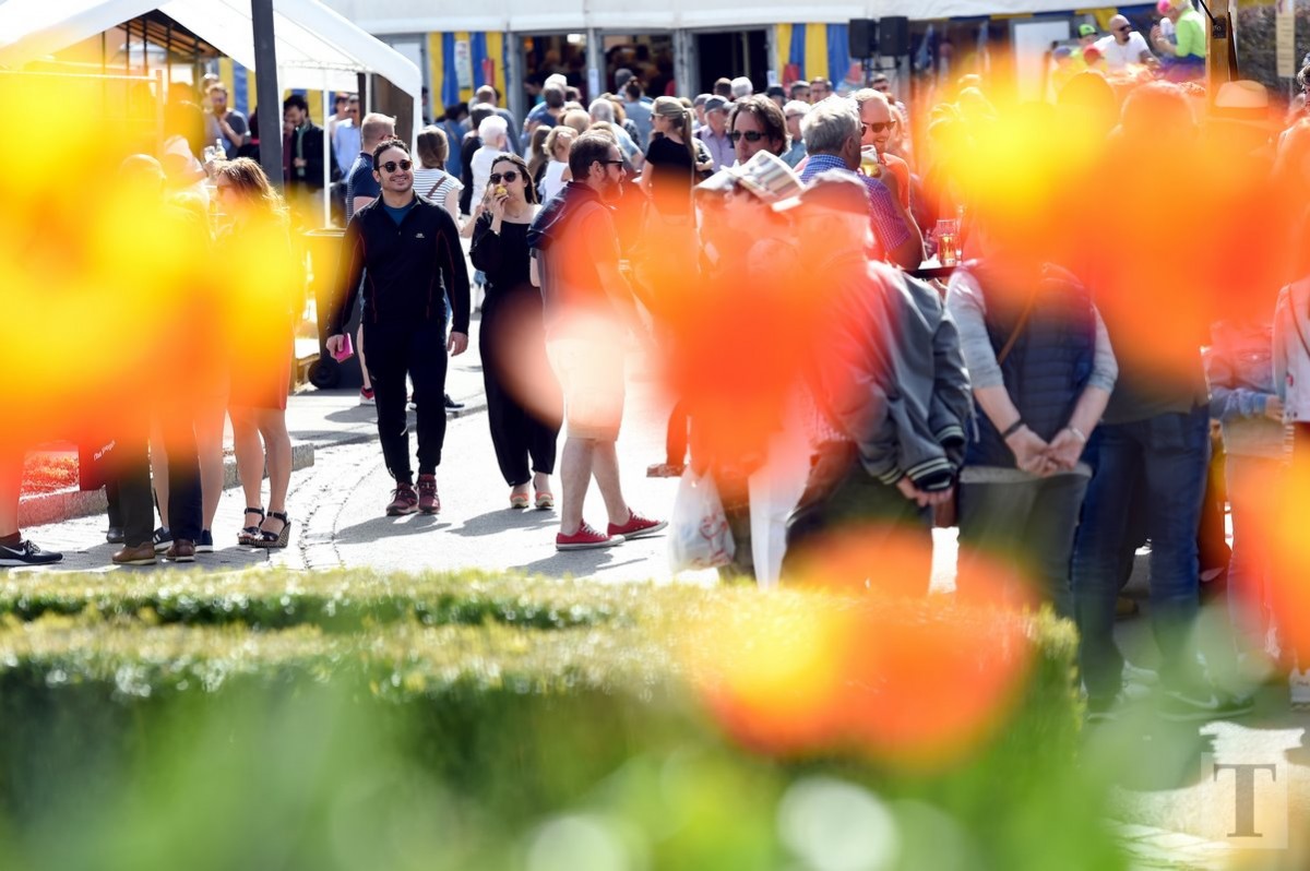 22.04.2019_Editpress_466707