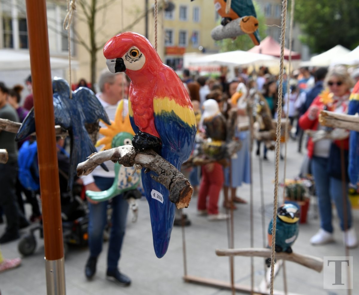 22.04.2019_Editpress_466733