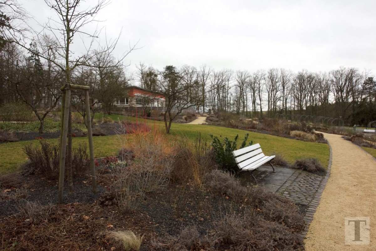 23.02.2017_Editpress_352950