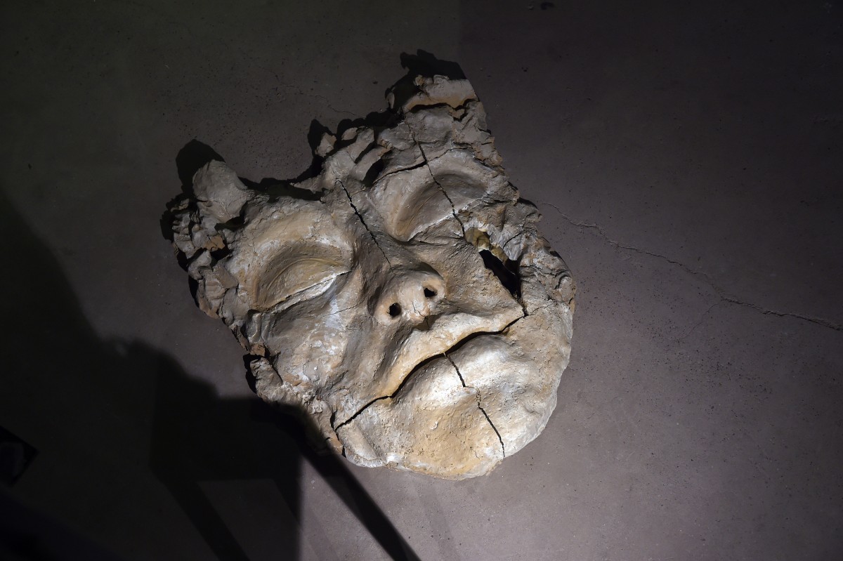 26.04.2019_Editpress_467658