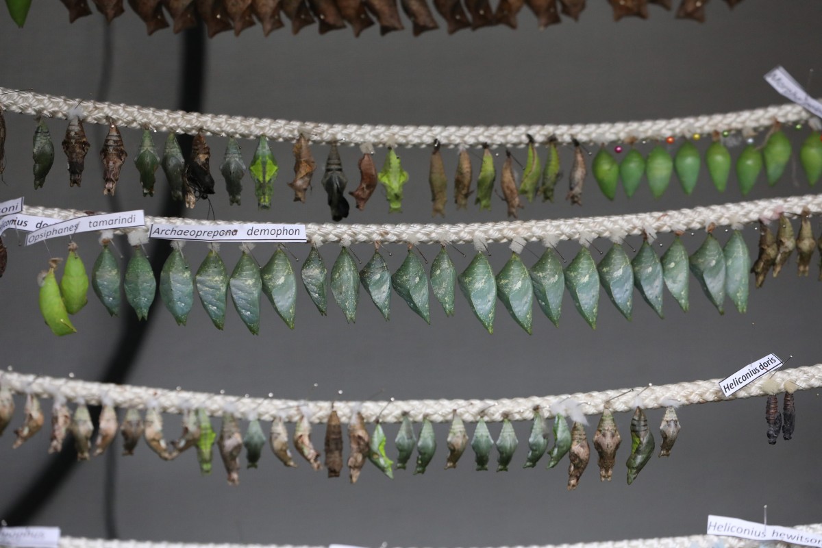 31.03.2017_Editpress_358637