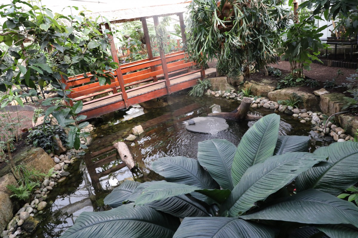 31.03.2017_Editpress_358640