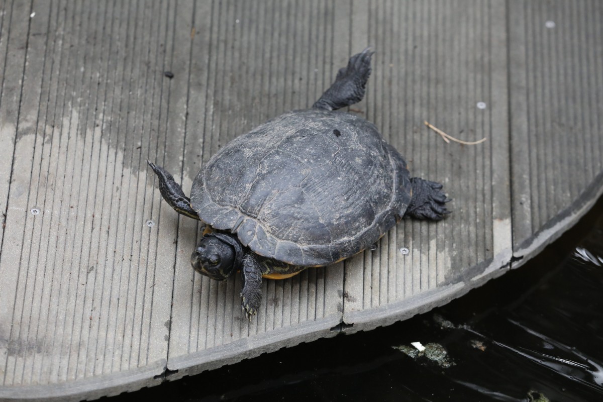 31.03.2017_Editpress_358642