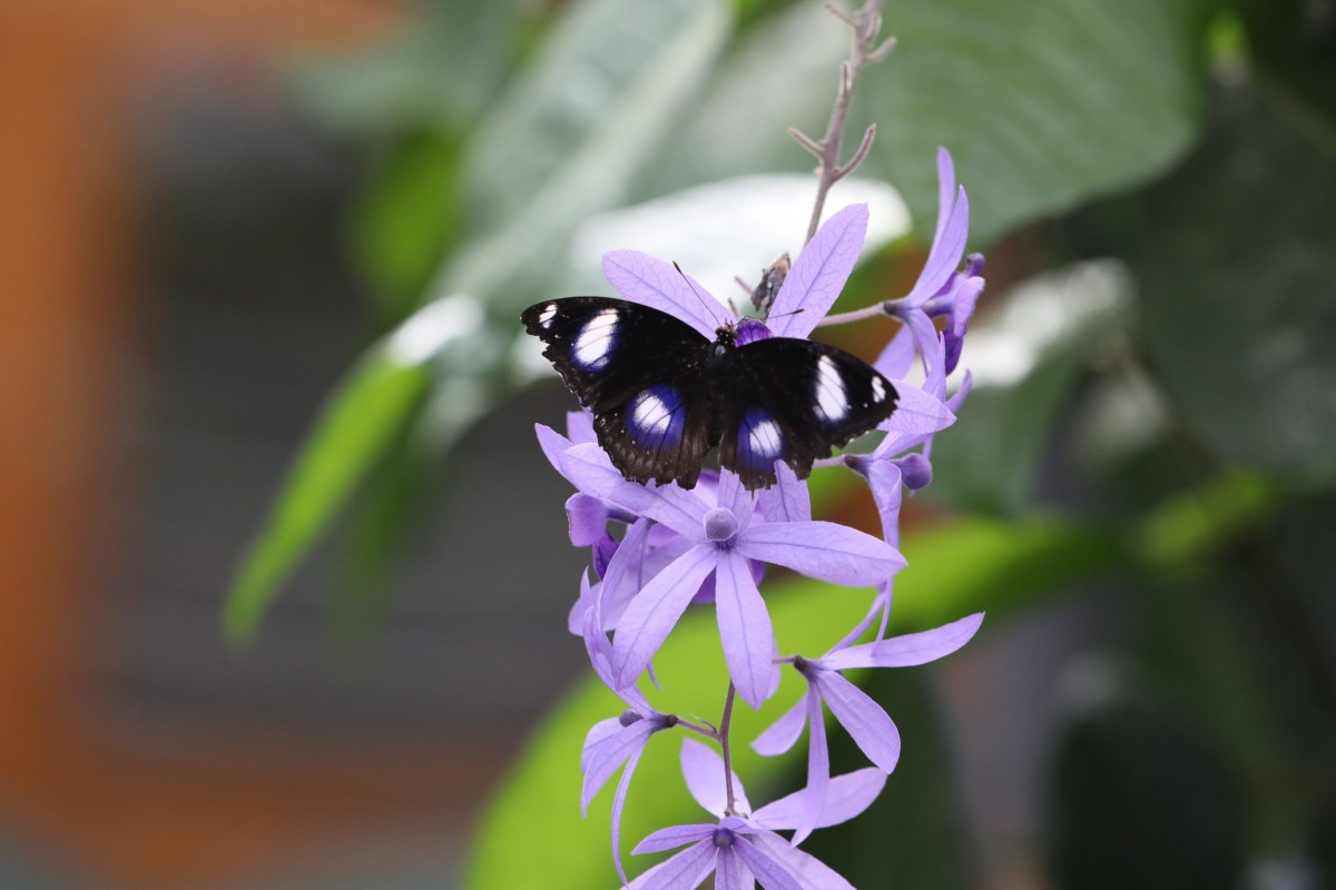 31.03.2017_Editpress_358645