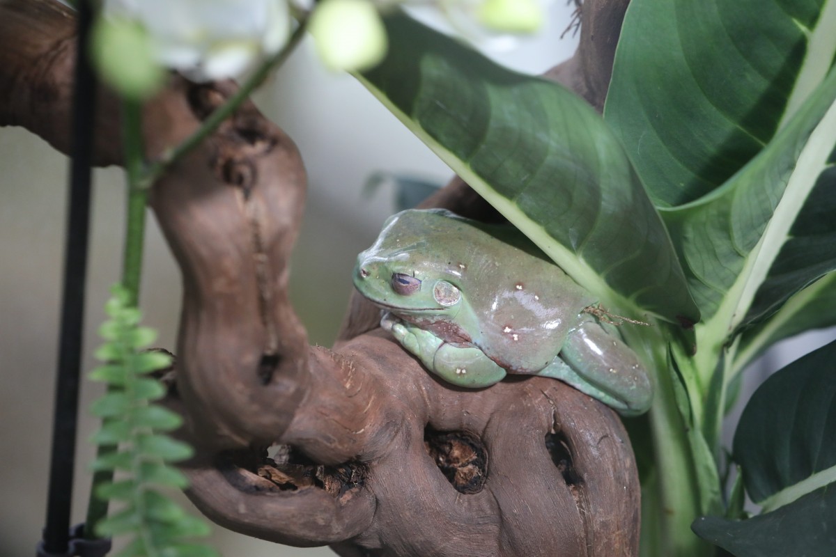 31.03.2017_Editpress_358646