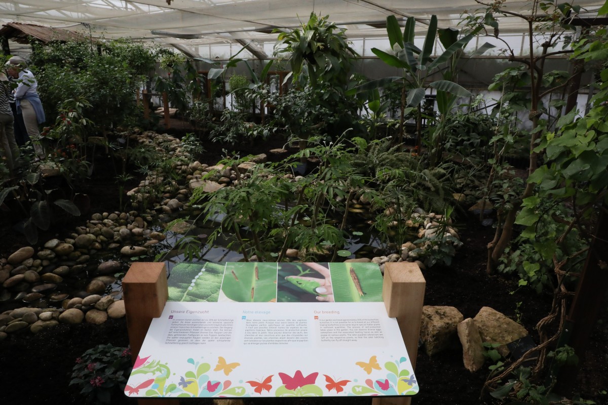 31.03.2017_Editpress_358652