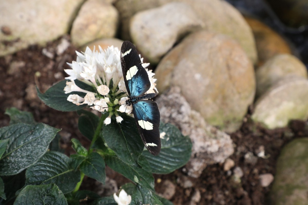 31.03.2017_Editpress_358653