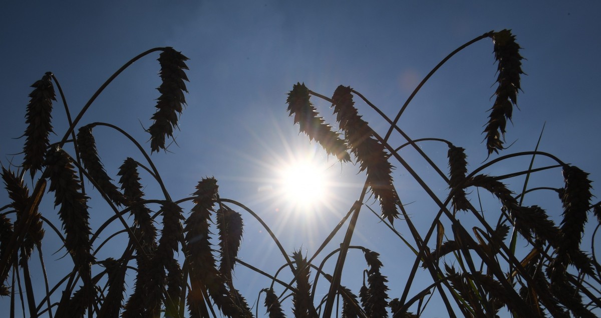 Zeit zum Handeln, der Klimawandel ist da