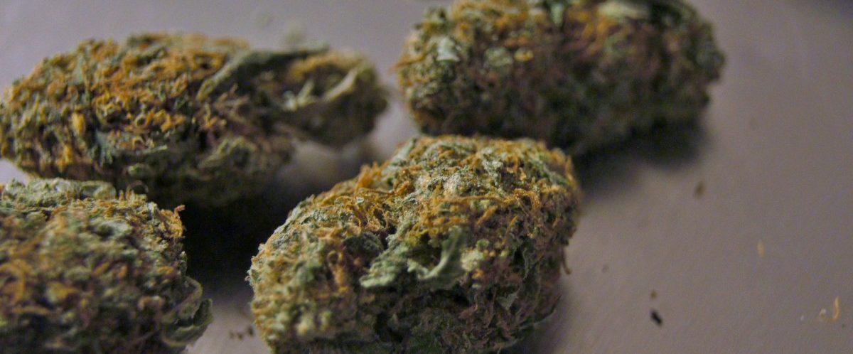 Verfolgung statt Legalisierung: Trierer Polizei greift streng gegen CBD-Hanf durch