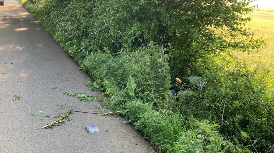 Motorradfahrer schwebt in Lebensgefahr nach Zusammenstoß mit einem Wildschwein