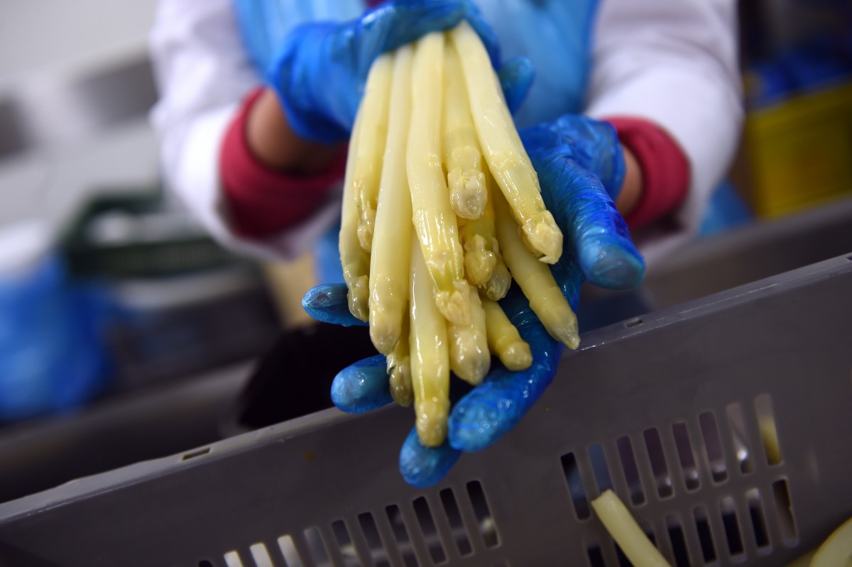 25.04.2019_Editpress_467429