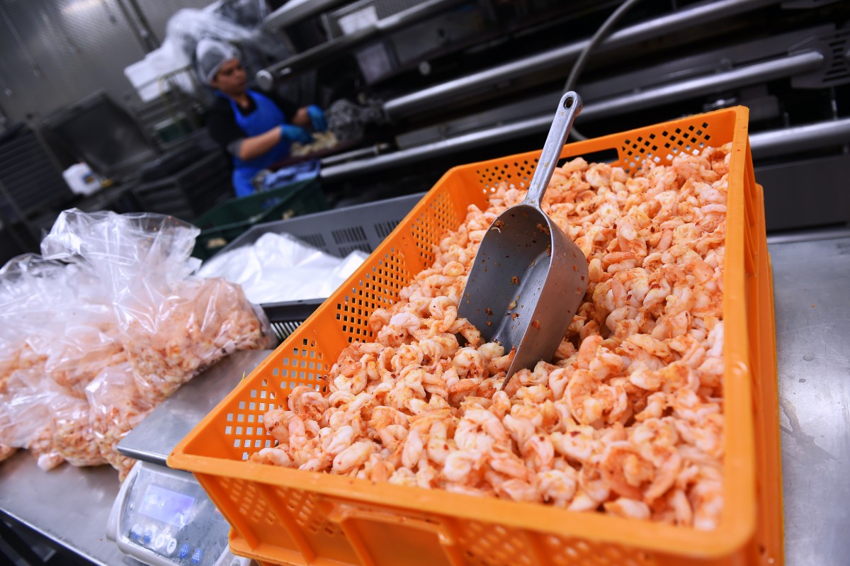 25.04.2019_Editpress_467441