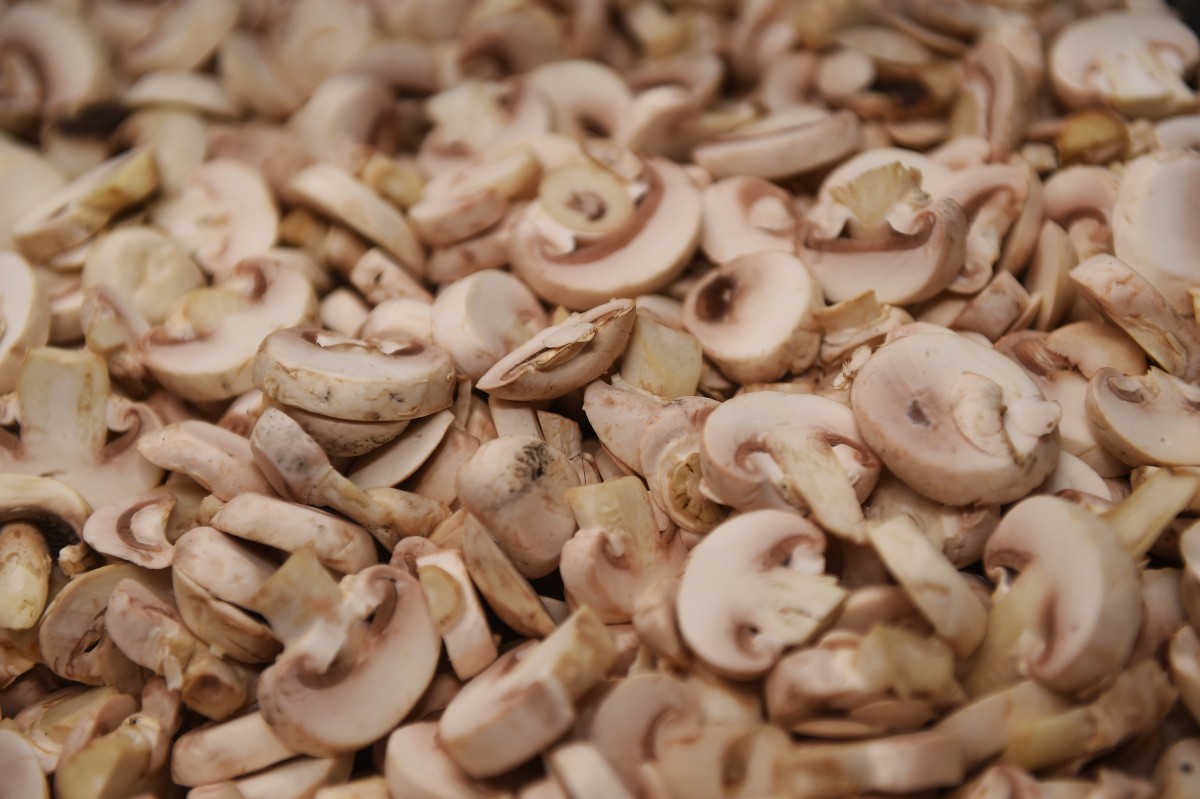 25.04.2019_Editpress_467450