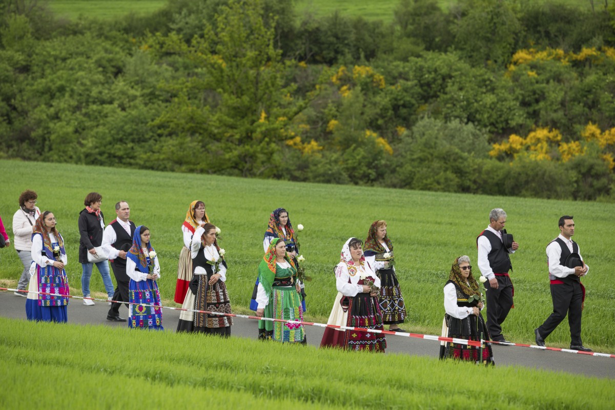 30.05.2019_Editpress_474121