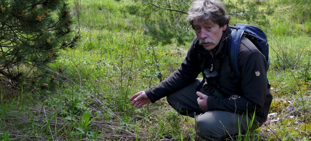 „Minett – Ein Schatz der Südregion“: Eine Ausstellung nicht nur für Naturliebhaber