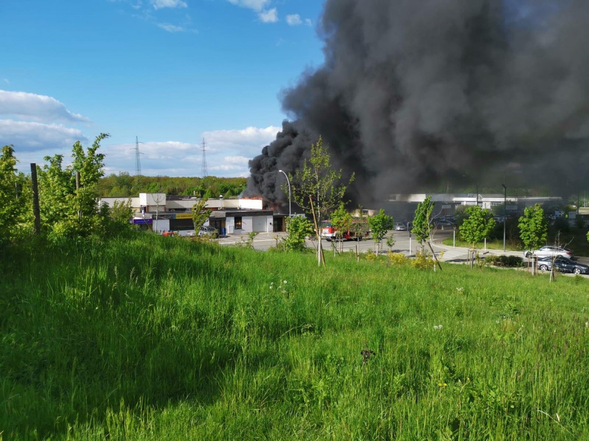 60040177_332899680757493_1663607654565543936_n