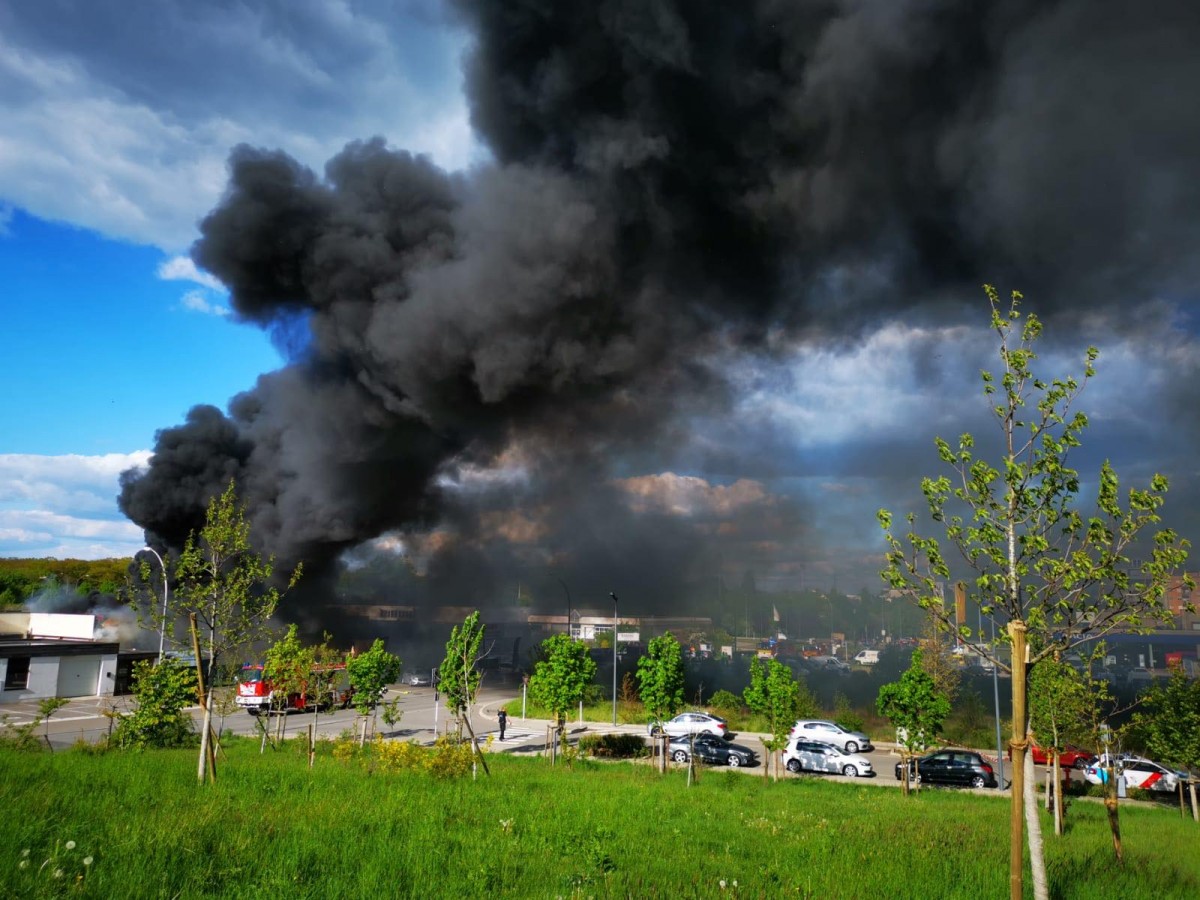 60064487_2249260758672184_1095581260253757440_n