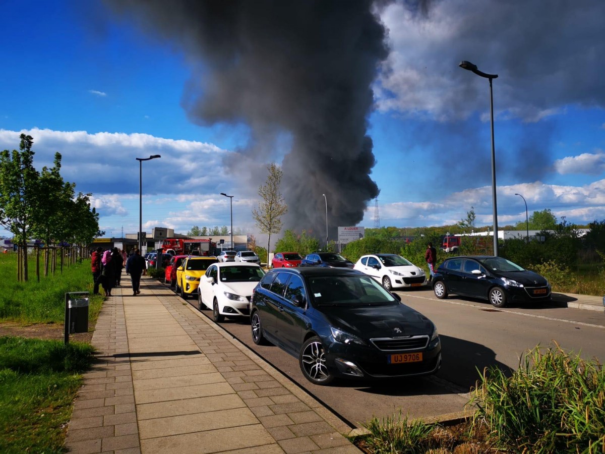 60103437_382119182395498_4825553833327329280_n