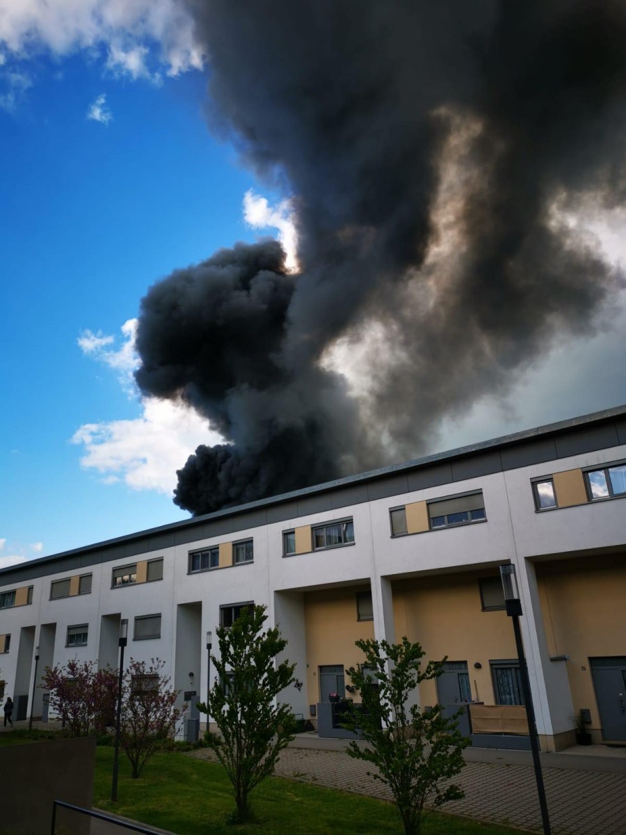 60141017_399190344255805_5083761039460270080_n