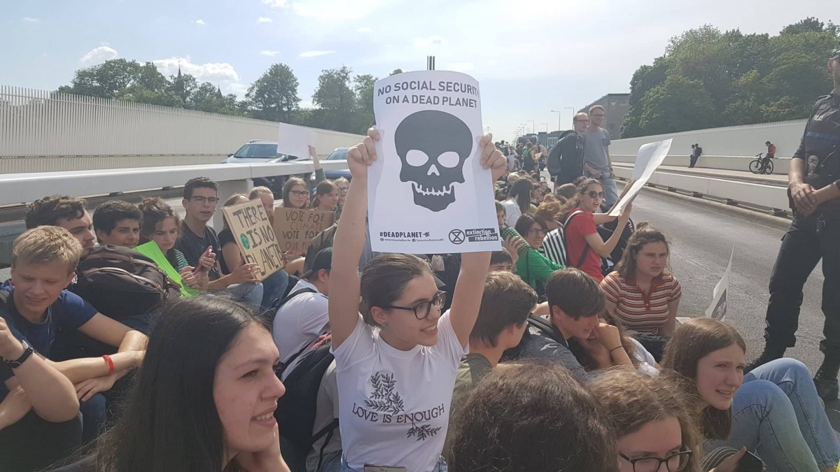 61434913_412023906285435_6846337801521201152_n